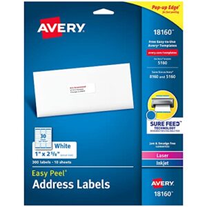 avery mailing address labels, laser & inkjet printers, 300 labels, 1 x 2-5/8, permanent adhesive (18160), white