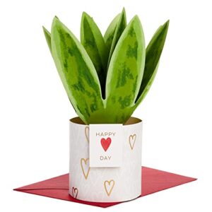 hallmark paper wonder pop up valentines day card (snake plant) (5vfe1127)