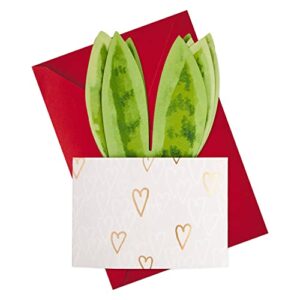 Hallmark Paper Wonder Pop Up Valentines Day Card (Snake Plant) (5VFE1127)