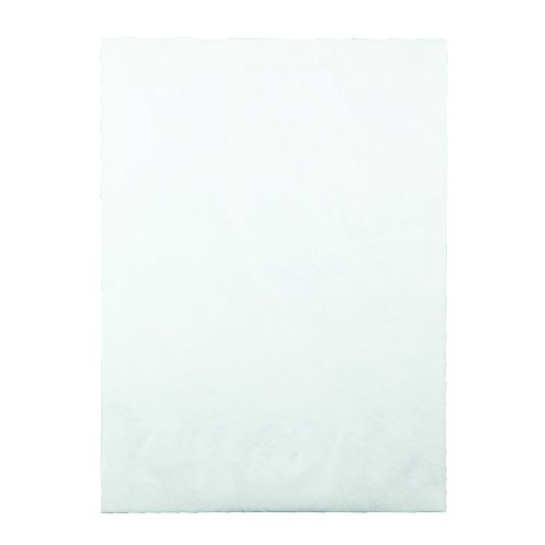 Quality Park Survivor R4202 Tyvek Expansion Mailer, 10 x 13 x 1 1/2, White (Box of 25)