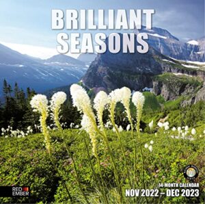 red ember brilliant seasons 2023 hangable monthly wall calendar | 12″ x 24″ open | thick & sturdy paper | giftable | simply stunning
