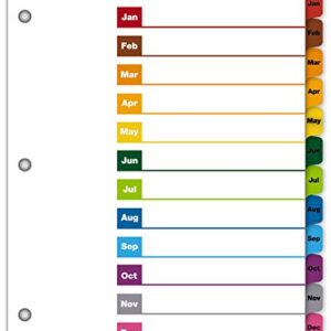 Cardinal OneStep Binder Dividers, 12-Tab Monthly, Customizable Table of Contents, Reversible Multicolor Tabs, 1 Set (60318CB)