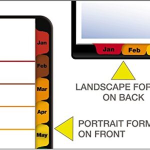 Cardinal OneStep Binder Dividers, 12-Tab Monthly, Customizable Table of Contents, Reversible Multicolor Tabs, 1 Set (60318CB)