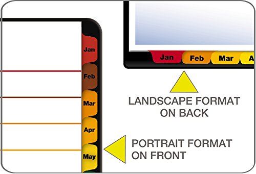 Cardinal OneStep Binder Dividers, 12-Tab Monthly, Customizable Table of Contents, Reversible Multicolor Tabs, 1 Set (60318CB)