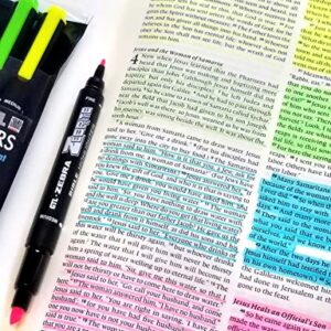 G.T. Luscombe Company, Inc. Zebrite Double Ended Bible Highlighter Set | No Bleed Pigmented Ink | No Fading or Smearing | Double Ended for Highlighting & Underlining | Fluorescent Multicolor (Set of 5)