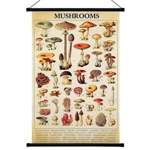 geyee vintage mushroom poster fungus wall art prints rustic mushroom wall hanging illustrative reference chart poster for living room office classroom bedroom decor frame, 15.8 x 23.6 inch (mushroom)