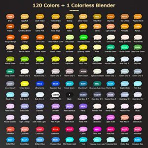 Caliart 121 Colors Artist Alcohol Markers Dual Tip Art Markers Twin Sketch Markers Pens Permanent Alcohol Based Markers with Case for Adult Kids Coloring Drawing Sketching Card Making Illustration