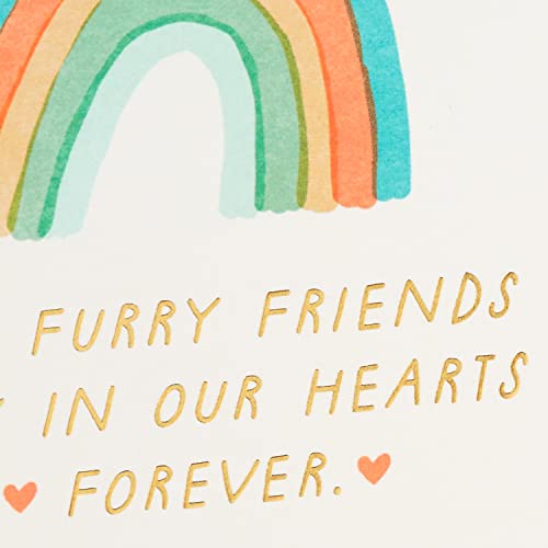 Hallmark Pet Sympathy Cards Assortment, Hearts and Rainbows (16 Cards and Envelopes)