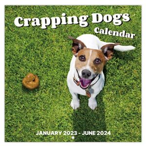2023-2024 wall calendar – 18 monthly pooping dogs calendar 2023, jan 2023 – jun 2024, funny gag gifts dog calendar, 11.8″ x 23.6″ (open), 11.8″ x 11.8″(closed), perfect white elephant gift funny