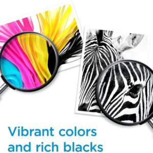 HP 61 Tri-color Ink | Works with DeskJet 1000, 1010, 1050, 1510, 2050, 2510, 2540, 3000, 3050, 3510; ENVY 4500, 5530; OfficeJet 2620, 4630 Series | Eligible for Instant Ink | CH562WN