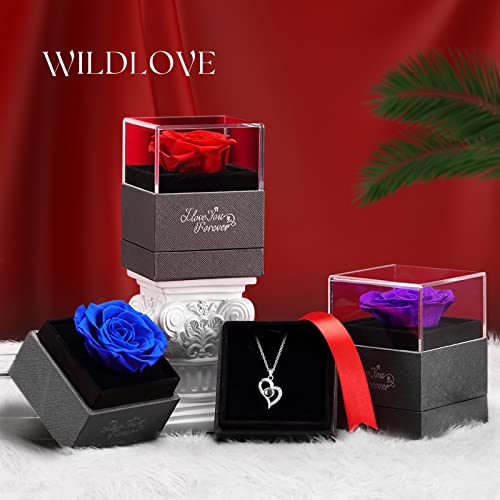 WILDLOVE Preserved Real Red Rose with Necklace in 100 Languages, Gifts for Mom Girlfriend Wife and Grandma on Mothers Day, Anniversary Birthday Gifts for Women