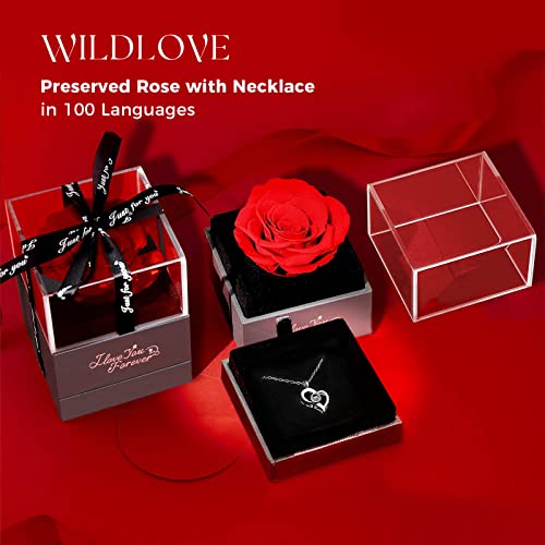 WILDLOVE Preserved Real Red Rose with Necklace in 100 Languages, Gifts for Mom Girlfriend Wife and Grandma on Mothers Day, Anniversary Birthday Gifts for Women