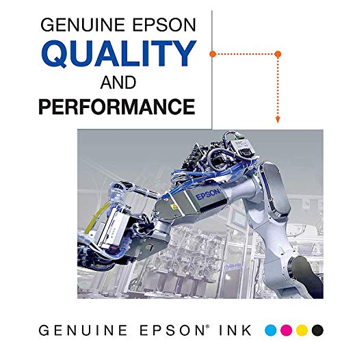 EPSON T288 DURABrite Ultra -Ink Standard Capacity Black & Color -Cartridge Combo Pack (T288120-BCS) for select Epson Expression Printers, Black and Color Combo Pack