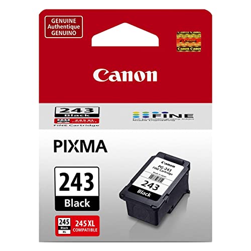 Canon 2 Pack PG-243 Black Ink Cartridge for PIXMA IP, MX, MG, TS, and TR Series Printers - 5.6ml