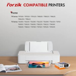 Forzik PGI-280XXL CLI-281XXL Ink 280 and 281 Cartridges Replacement Compatible with PIXMA Printer TR8520 TS9120 TS6200 TS6220 TS8120 TS8220 TR7520 TS6120, 1PGBK 1Black 1Cyan 1Magenta 1Yellow