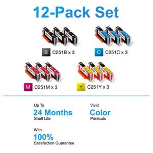 Arthur Imaging Compatible Ink Cartridge Replacement for Canon CLI251XL for use with PIXMA MX922 MG5520 (3 Black, 3 Cyan, 3 Yellow, 3 Magenta, 12-Pack) - CLI251(12)