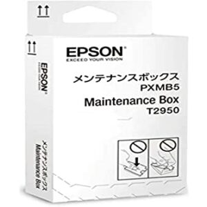 Epson Ink Maintenance Box for Workforce WF-100