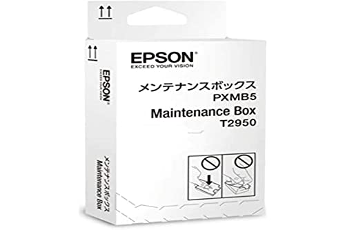 Epson Ink Maintenance Box for Workforce WF-100