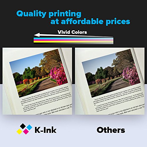 K-Ink Compatible Ink Cartridge Replacement for Canon PGI-250XL PGI 250 XL CLI-251XL CLI 251 XL for Pixma MX922 MG7520 MG5520 MG5420 MG6620 MG5620 (2 Big Black, 2 Black, 2 Cyan, 2 Yellow, 2 Magenta)