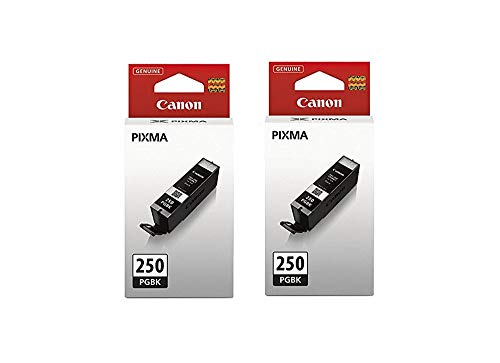 2 X Canon (PGI-250) Black Inks in Retail Packaging