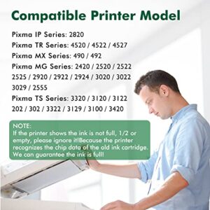 Remanufactured Ink Printer for Canon PG-245 XL CL-246 XL PG-243 CL-244 Ink Cartridges for PIXMA MX492 TR4520 TS3120 MG2420 MG2520 MG2522 MX490 MG2920 MG2922 MG3022 MG3029 IP2820 Replacement High Yield