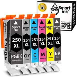 smart ink compatible ink cartridge replacement for canon pixma cli-251xl pgi-250xl pgi 250 cli 251 ( 1pgbk & 1bk/c/m/y/gy 6 combo pack ) to use with ip8720 mg6320 mg7120 mg7520
