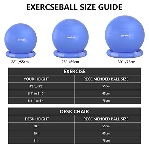 HBselect Exercise Ball Chair &Anti-Slip Stability Base & Resistance Bands, Extra Thick Anti Burst Swiss Gym Ball for Yoga, Pilates, Birthing Pregnancy