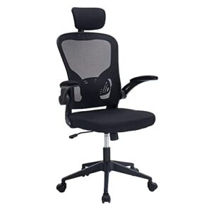 ALEAVIC Ergonomic Office Chair, High Back Office Chair, Home Office Desk Chair, Breathable Mesh Office Chair, Comfort Swivel Task Chair with Flip-up Arms and Adjustable Height (Black)