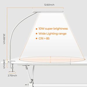 BOLOWEI LED Desk Lamp with Clamp Small White Desk Lamp for College Dorm Room, 6-Level Dimmable 5 Color Modes Swing Arm Daylight Table Lamp Touch Control Home Office Study/Reading/Drawing 10W