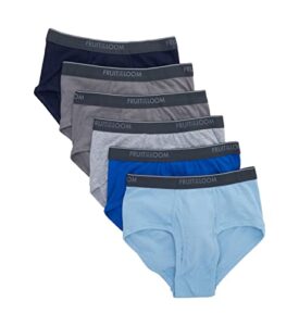 fruit of the loom mens classic briefs, multi 6pk, large
