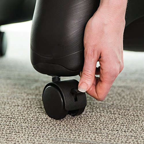 Champion Sports Exercise Ball Chair: FitPro Balance Ball Chair with Wheels and Back Support for Home or Office Use - Includes Hand Pump - Black