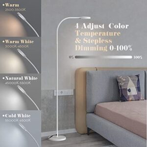 Buluna Floor Lamp for Bedroom with Remote & Touch Control, LED 2500K-6000K 4 Color Temperatures Standing Tall Lamp 360 Degree Adjustable Gooseneck for Living Room Office Reading