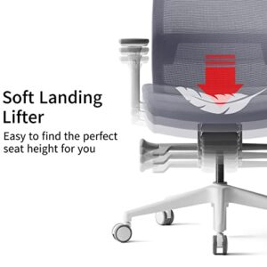 BESTUHL J17 Home Office Desk Chair - Ergonomic, High Back, 3 Lockable Recline Positions, 3-Way Armrest, Adjustable Seat Depth & Lumbar Support, Breathable Mesh Back (White and Grey)