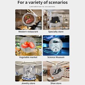 Holographic Projector, 3D LED Hologram Fan WiFi Advertising Machine with Cover, 800x800 Resolution, WiFi APP Operation, for Shop, Bar, Party Advertising Display(30cm/11.8inch)(US)