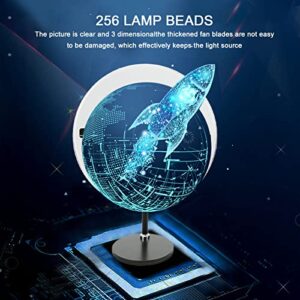 Holographic Projector, 3D LED Hologram Fan WiFi Advertising Machine with Cover, 800x800 Resolution, WiFi APP Operation, for Shop, Bar, Party Advertising Display(30cm/11.8inch)(US)