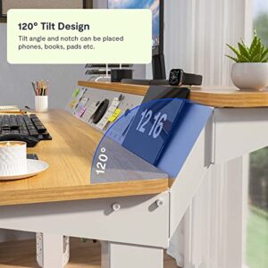 FLEXISPOT E1FR Height Adjustable Standing Desk 55 Inches 2 Tier Electric Sit Stand Up Home Office Desk with Memory Controller Pegboard Ergonomic Workstation (White Frame + 55" Maple Top)