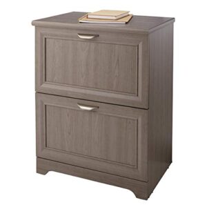 realspace magellan 24″w 2-drawer lateral file cabinet, gray