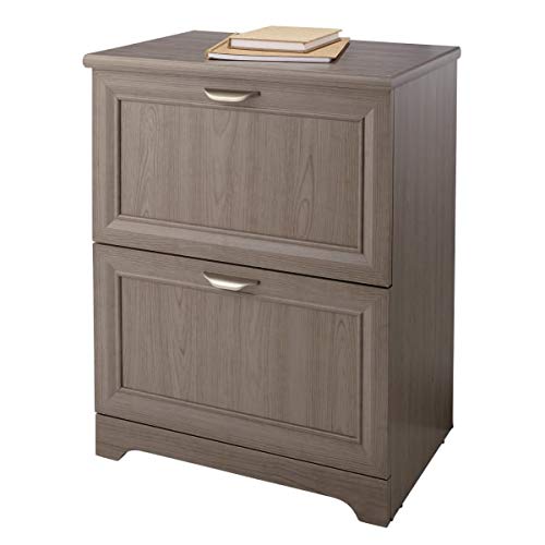 Realspace Magellan 24"W 2-Drawer Lateral File Cabinet, Gray