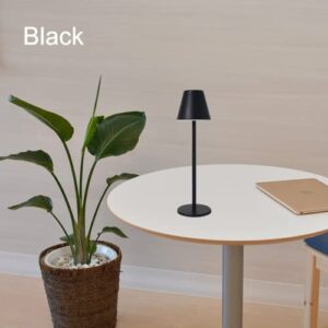 Creative Office Restaurant Bar Table lamp Rechargeable Study Reading Touch Led Desk Light with USB Charging Port for Bedroom (Black)