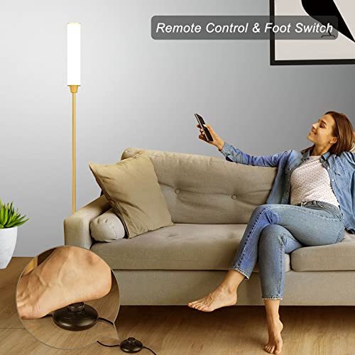 Mudodi Floor Lamps for Living Room with Remote Control, Full Range Dimming Minimalist Standing Lamp Perfect for Living Room, Bedrooms and Office. (Gold)