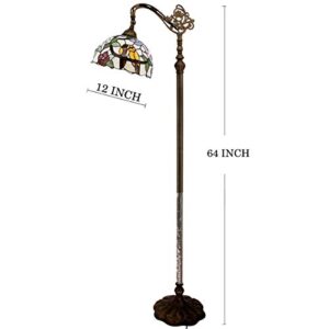 WERFACTORY Tiffany Floor Lamp Stained Glass Double Tropical Bird Arched Lamp 12X18X64 Inch Gooseneck Adjustable Corner Standing Reading Light Decor Bedroom Living Room S803 Series