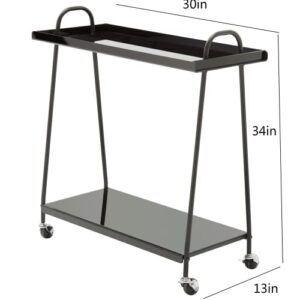 DIIYIV Bar Cart 2-Tire Mobile Serving Cart ,Wine Cart on Wheels,Black Beverage Cart for Home Acrylic Small Bar Carts