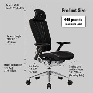 Cooler Master Ergo L Ergonomic Office Mesh Chair, Comfortable Computer Desk Chairs with High Back & Rolling Wheels for Home and Work, Lumbar Support Adjustable Backrest Headrest Armrest Deskchair