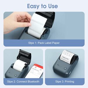 NIIMBOT B1 Label Makers, 2 Inch Bluetooth Label Maker with Auto Identification, Portable Label Printer Easy to Use for Office, Home, Business (with 1.96x1.18 inch Label Tape)