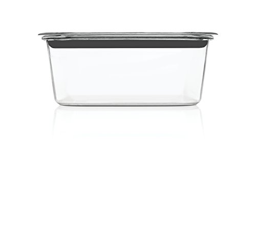 Rubbermaid Brilliance Food Storage Container, Large, 9.6 Cup, Clear 2024351