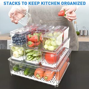 Pomeat 10 Pack Fridge Organizer, Stackable Refrigerator Organizer Bins with Lids, BPA-Free Produce Fruit Storage Containers for Fridge Organizers and Storage Clear for Food, Drinks, Vegetable Storage