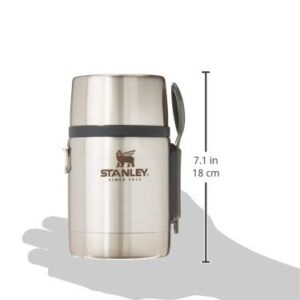 Stanley Classic Legendary Vacuum Insulated Food Jar 18 oz – Stainless Steel, Naturally BPA-free Container – Keeps Food/Liquid Hot or Cold for 12 Hours – Leak Resistant, Easy Clean