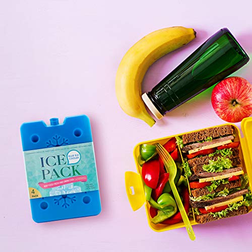 BLUE ELE BE01 Ice Pack for Lunch Box and Cooler, BPA Free, Reusable and Long Lasting, Slim and Lightweight Design for Kids, Set of 4, Fun & Colorful