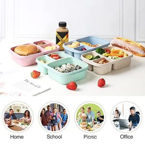 4 Pack Bento Lunch Box，3-Compartment Meal Prep Containers，Lunch Box for Kids，Durable BPA Free Plastic Reusable Food Storage Containers - Stackable, Suitable for Schools, Companies,Work and Travel