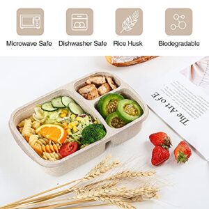 4 Pack Bento Lunch Box，3-Compartment Meal Prep Containers，Lunch Box for Kids，Durable BPA Free Plastic Reusable Food Storage Containers - Stackable, Suitable for Schools, Companies,Work and Travel